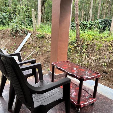 Silver Shadow Homestay Chikmagalūr Buitenkant foto